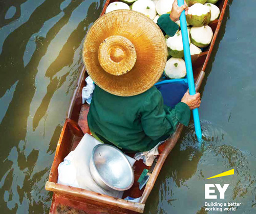 Empowering Women: Uncovering Financial Inclusion Barriers 2015