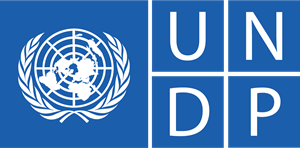UNDP - Toplumsal Cinsiyet Eşitliğine Duyarlı Şirket ve Kurumlar için Dönüşüm Rehberi