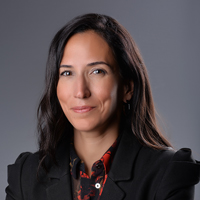 Evin Pehlivanlı